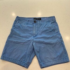 American Eagle Outfitters Blue Men's Flat Front Shorts